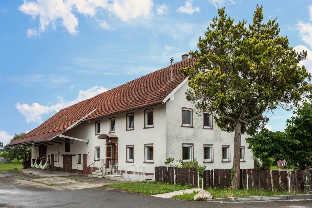 Ferienwohnung Ellenweiler Bis 15 P 腓特烈港 外观 照片